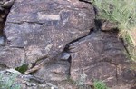 photo thumbnail #2