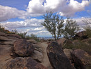 photo thumbnail #3