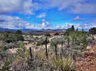 photo thumbnail #12