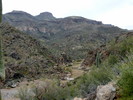 photo thumbnail #6