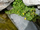 photo thumbnail #12