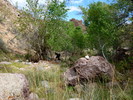 photo thumbnail #15