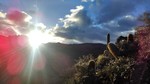 photo thumbnail #13