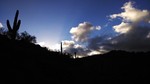 photo thumbnail #15