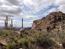 photo thumbnail #2