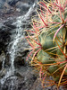 photo thumbnail #14