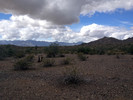 photo thumbnail #4
