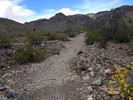 photo thumbnail #7