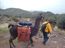 photo thumbnail #4