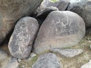 photo thumbnail #12