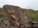 photo thumbnail #14