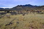 photo thumbnail #9