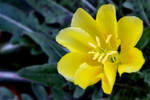 photo thumbnail #11