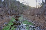 photo thumbnail #1