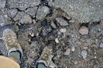 photo thumbnail #3