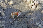 photo thumbnail #12