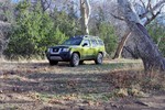 photo thumbnail #14