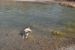 photo thumbnail #7