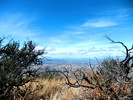 photo thumbnail #3