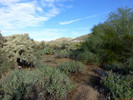 photo thumbnail #1