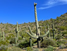 photo thumbnail #7