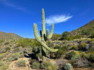 photo thumbnail #8