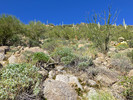 photo thumbnail #9