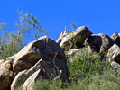 photo thumbnail #11