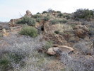 photo thumbnail #1