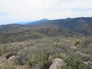 photo thumbnail #5