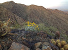 photo thumbnail #1