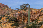 photo thumbnail #8
