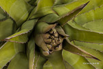 photo thumbnail #15