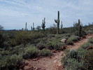 photo thumbnail #4