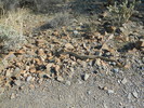 photo thumbnail #6