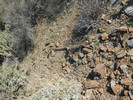 photo thumbnail #8