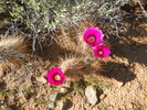 photo thumbnail #9