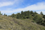 photo thumbnail #7