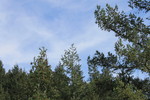 photo thumbnail #11