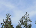 photo thumbnail #12