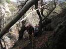 photo thumbnail #11