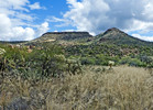 photo thumbnail #7