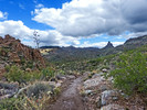 photo thumbnail #9