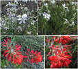 photo thumbnail #11