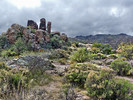 photo thumbnail #14