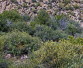 photo thumbnail #15