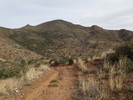 photo thumbnail #1