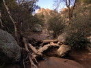 photo thumbnail #3