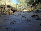 photo thumbnail #5