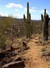 photo thumbnail #3